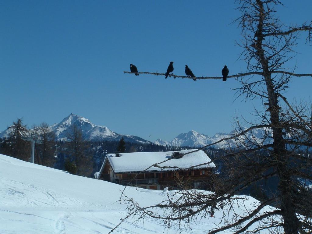 Mecki'S Dolomiten Panorama Stubn Debant Værelse billede
